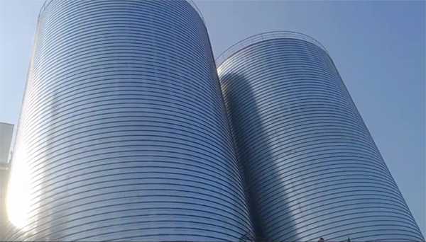 龙江2座混凝土高架卷板仓